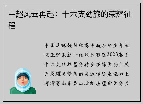 中超风云再起：十六支劲旅的荣耀征程